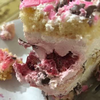 Tatbak Gıda Bozuk Meyveli Pasta