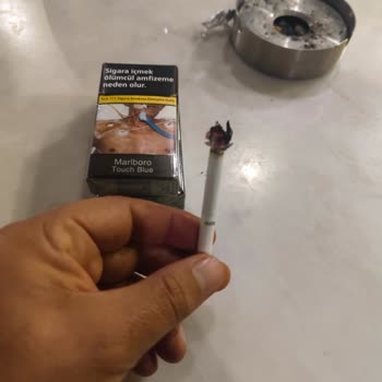 Philip Morris Sigara Dallarında Odun Parçacıklarının Çıkması