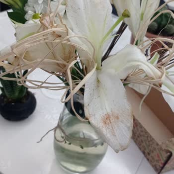 Çiçek Sepeti Umursamazlığı