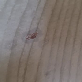 İstikbal Mobilya Firmasından Defolu Ürün Geldi
