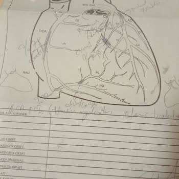 Reyap Hastanesi'nde İhmalkarlık