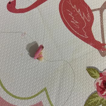 Akyol Pastanesi Muzlu Küçük Pastalardan Kıl Çıktı