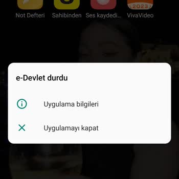 E-Devlet (Turkiye.gov.tr) Giriş Yaparken İçindeki Bir Uygulamalardan Hizmet Alamıyorum