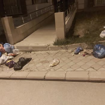 Keçiören Belediyesi Çöp Sorununa Çözüm Bulun