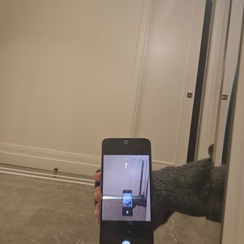 Samsung Telefon Ekranda Sıkıntı Var Bu Sarı Renk