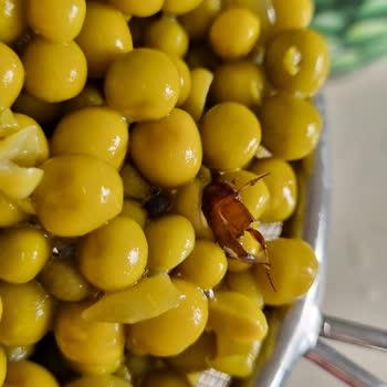 Tukaş Böcekli Bezelye Konservesi
