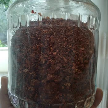 Baharat Evim Küflenmiş Bozuk Ürün