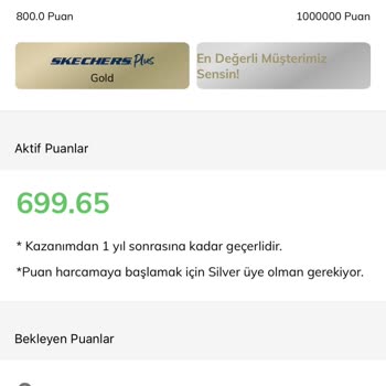 Skechers Puanlarım 1 Sene Olmadan Siliniyor