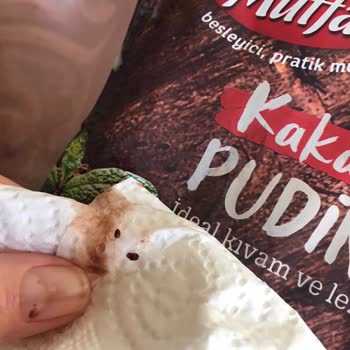 Bizim Mutfak Puding Böcekli Çıktı
