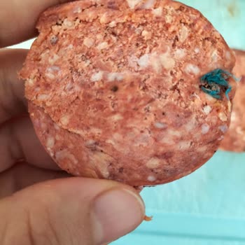 Köfteci Yusuf Sucuğunda Yabancı Cisim