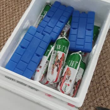 Erimiş Şekilde Gelen Barf Kargo