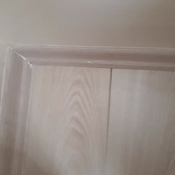 Çamsan Parke Camsan Milas Parkem De Atmalar Oldu