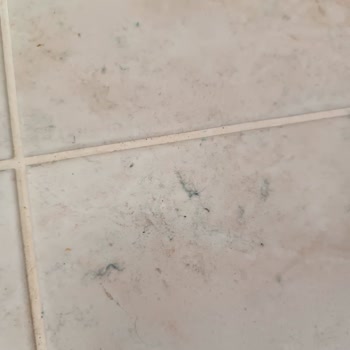 Madame Coco'dan Kilim Aldım Bin Pişmanım!