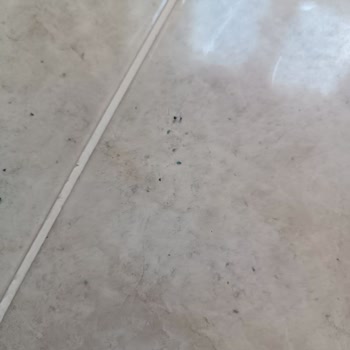 Madame Coco'dan Kilim Aldım Bin Pişmanım!