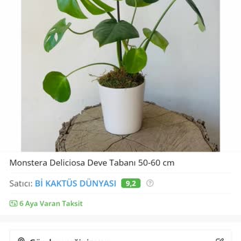 ÇiçekSepeti Farklı Çiçek, Üstelik Ertesi Gün Teslim Edildi.