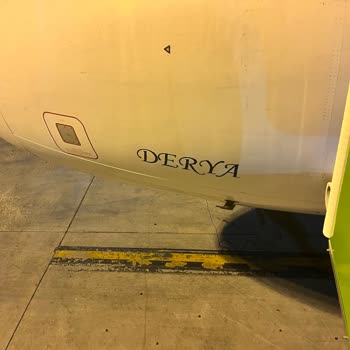 The Disgrace On Pegasus Airlines Flight PC2704