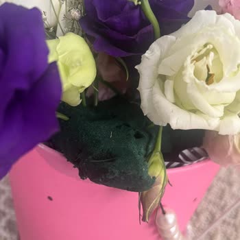 Çiçek Sepeti Yalova Pişmanlıktır!