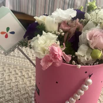 Çiçek Sepeti Yalova Pişmanlıktır!