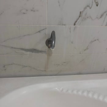 İhlas Kuzuluk Kaplıca Evleri Temizlik Sorunu