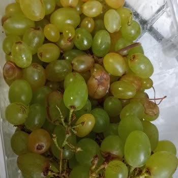 Carrefour SA Bozuk Çürük Ürün Satışı