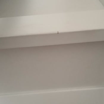 Oğuz Ev Concept Gazino Şubesinin Teşhir Ürünü Gönderdi