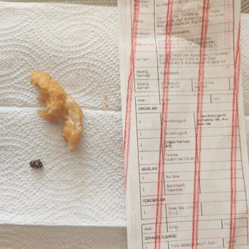 Burger King Soğan Halkasından Taş Çıkması