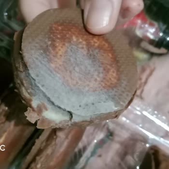 Luppo Bu Kaçıncı Mağduriyet