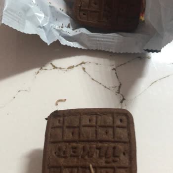 Ülker Kakaolu Bisküvi Kurtlu