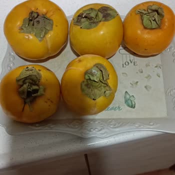 Migros Çöp Gönderdiler, Kaya Gönderdiler
