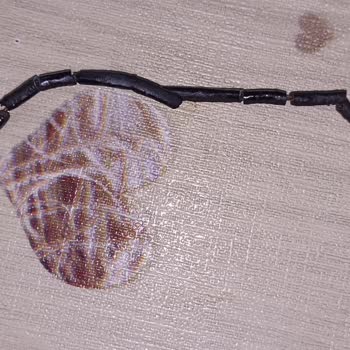 Gosmart Kulaklığım Şarjdayken Kablo Eridi!