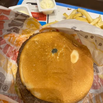 Burger King Küf Ve Kokmuş Ekmek