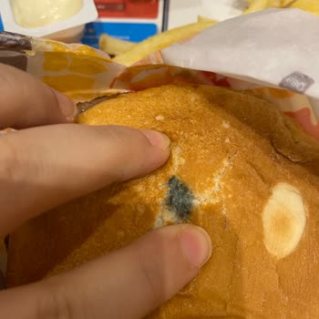 Burger King Küf Ve Kokmuş Ekmek