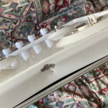 Media Markt Hasarlı Ürün Teslimatı