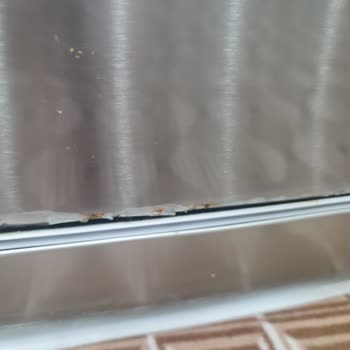 Profilo Bulaşık Makinesi Paslandı!