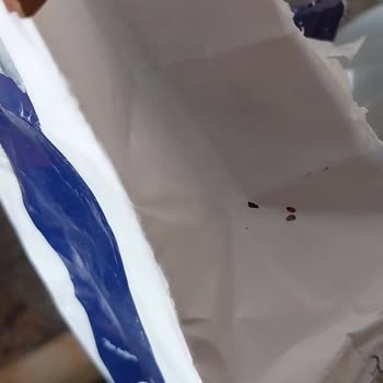 Sinangil Un Böceklenmesi Ve Müşteri Hizmetlerinin İlgisizliği