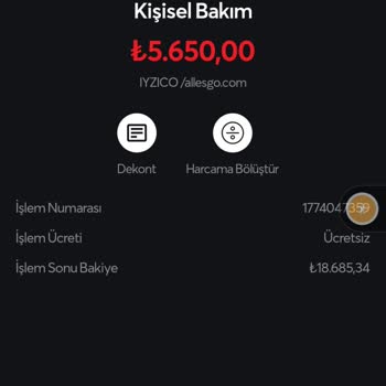 iyzico/ Allesgo. Com Tarafından Kartımdan Bilgim Dili Para Çekilmesi