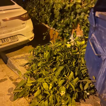 Buca Belediyesi Çöp Konteynırları Ve Çöp