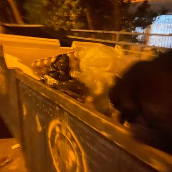 Buca Belediyesi Çöp Konteynırları Ve Çöp