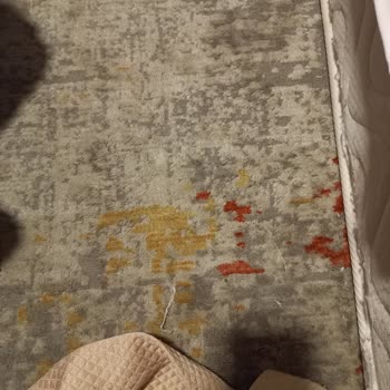 Joytur Turizm İlgisizlik Ve Dikkatsizlik