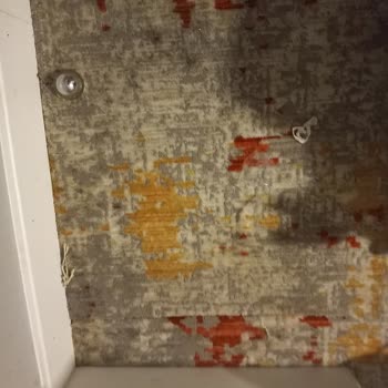 Joytur Turizm İlgisizlik Ve Dikkatsizlik