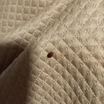 Joytur Turizm İlgisizlik Ve Dikkatsizlik