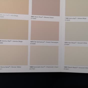 Polisan Karizmatik Krem Boya Renk Uyumunda Sorun