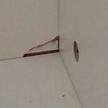 Oğuz Ev Concept Oguz Ev Konsept Ayıplı Ürün