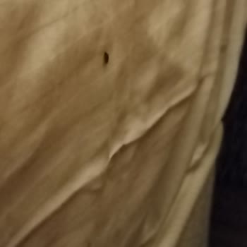 Taç Otelde Tahta Kurusu