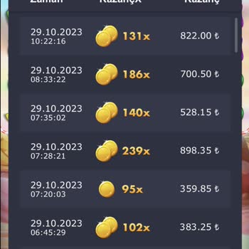 Casibom Hesaptan Giden Para