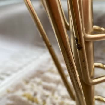 Bozdoğan Ev Yaşam Gereçleri Sıfır Aldığım Ürünler Çizik Yırtık İçinde Defolu Ürün Satıyorlar