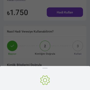 Hadi Tom Bay Veresiye Limitini Kullanamıyorum!