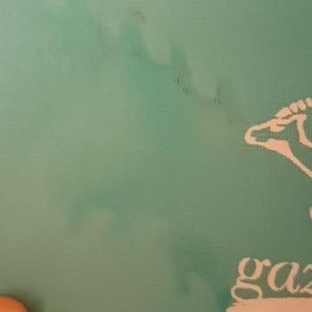 Gazzella Ütü Kılıfı Yanığı