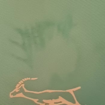 Gazzella Ütü Kılıfı Yanığı