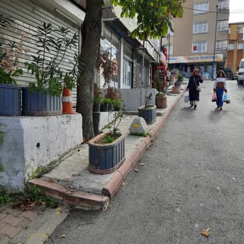 EyüpSultan Belediyesi Kaldırımdaki Çiçekliklerin Kaldırılmasını Rica Ediyoruz